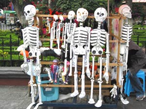 Young woman's stand at the Coyoacan plaza. She was selling papier mache skeletons.