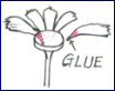 Glue...