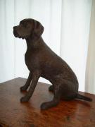 Lester -  German Short-haired Pointer by Diane Grey