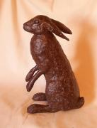 Brown Hare by Diane Grey