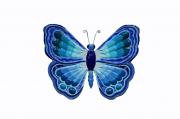 Marysa the butterfly by Maya Badran