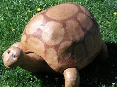 "Tortoise" by Curtis Hart