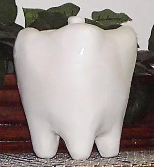 "Tooth -Shaped Sweets Jar with Lid" by Tammy Wilson