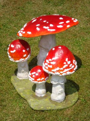 "Fungi" by Jackie Hall