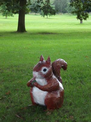 "Red Squirrel at Arboretum" by Jackie Hall