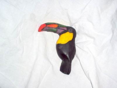 "Toucan" by Paula Smith