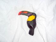 Toucan by Paula Smith