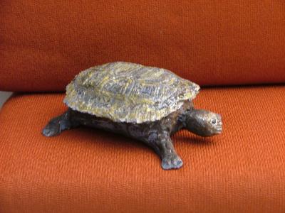 "turtle" by Yeoshua  Ben Moshe