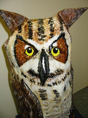 "owl close up" by Thomas Nigro