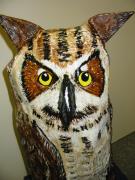 owl close up by Thomas Nigro