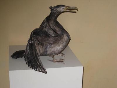 "cormorant" by Juanita Humphris
