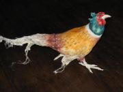 pheasant by Juanita Humphris