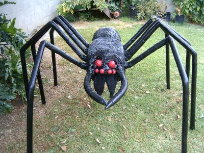 "Giant Wolf Spider - Wolfee" by Diane Sarracino