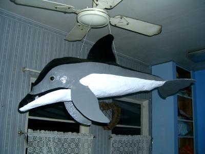 "Hayley the Hawaiian Spinner Dolphin" by Diane Sarracino