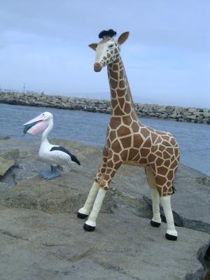 "Annalisa the giraffe with Pieter the pelican" by Diane Sarracino