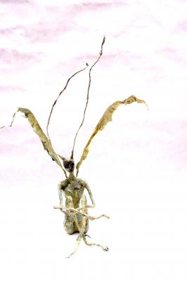 "katydid" by Rachael DiRenna