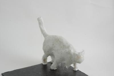 "Alley cat" by Avi Sevilya