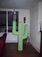 Cactus and Vulture by Andre Willemsen
