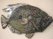 John Dory by Steve Glynn