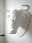 Bull painted white by Steve Glynn