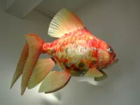 Giant Goldfish by Steve Glynn