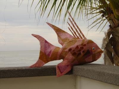 "Hogfish" by Sally Cherry