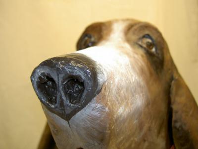 "Barry the Basset" by Jane Bryan