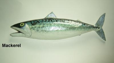 "Mackerel" by Sue Baker