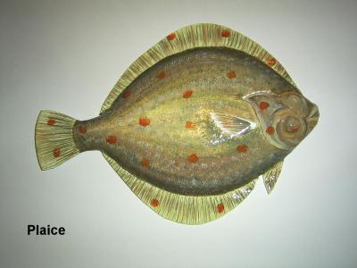 "Plaice" by Sue Baker