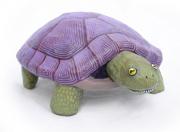 tortoise 1 by Lorraine Berkshire-Roe
