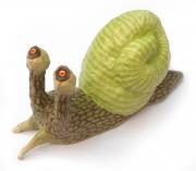 Snail by Lorraine Berkshire-Roe