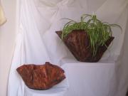 Plant Holders by Marsha Rose
