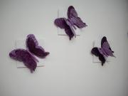 Butterflies by Ana Schwimmer