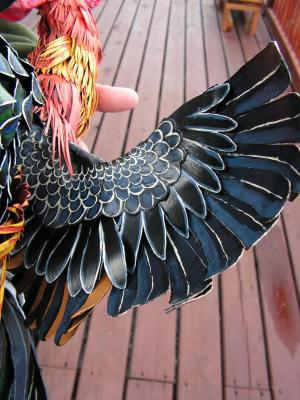 "Rooster underwing" by Scylla Earls