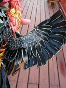 Rooster underwing by Scylla Earls