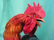 Rooster 3, head by Scylla Earls