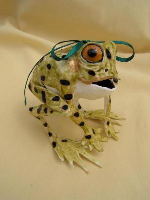 "Frog Box" by Scylla Earls