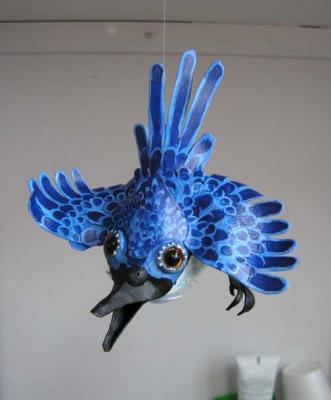 "BlueJay" by Scylla Earls