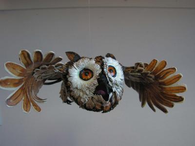 "Little Horned Owl" by Scylla Earls