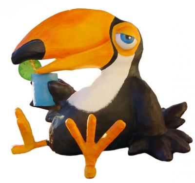 "Toucan" by Joao Coias