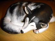 Husky, resting by Eva Fritz