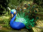 My Peacock... by Eva Fritz