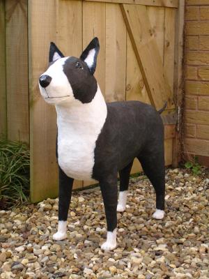 "Bull Terrier" by Nicky Clacy