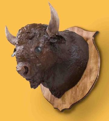 "Carina's Bison" by Meg Lemieur