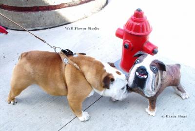 "Bulldog and Hydrant - Which dog is real?!" by Karen Sloan