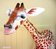 Friendly Giraffe by Karen Sloan