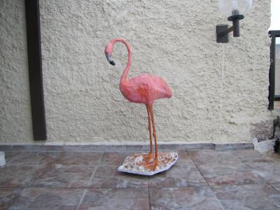 "flamingo" by Ruhama Peled