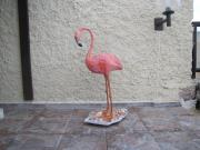 flamingo by Ruhama Peled