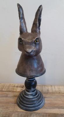 "hare" by Allie Scott