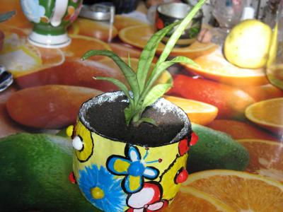 "Flower pot" by Gandrabura Elena